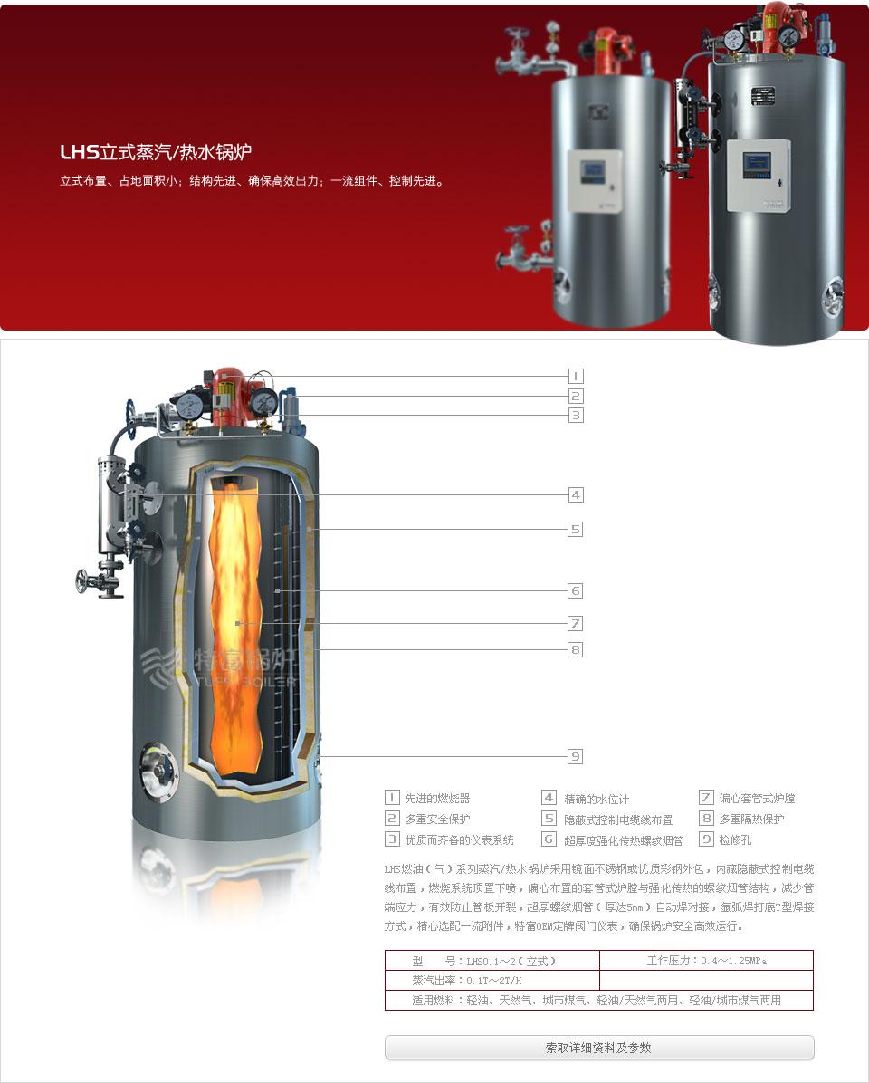 特富LHS立式燃气蒸汽、热水锅炉.jpg